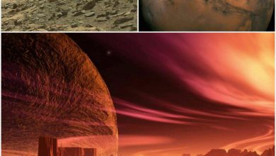 نظریه ای عجیب در مورد مریخ